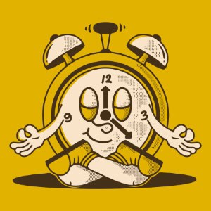 Save YourSelf Time Energy Money (WT801)