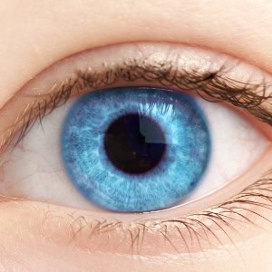 An Eye For Detail – NOT (WT802)