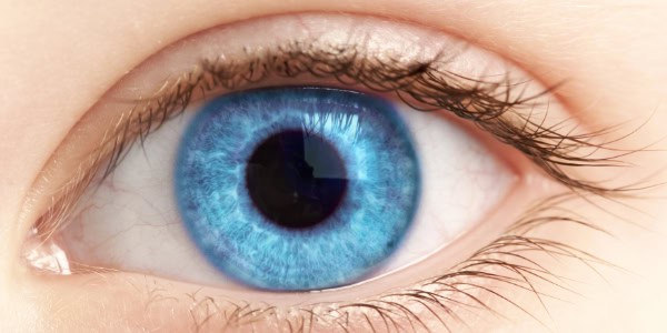 WT 802 Eye for detail - NOT