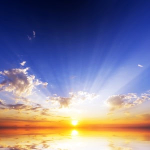 Don’t Start Your Day (WT813)